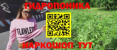 индика Комсомольск-на-Амуре