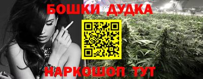 МДПВ Краснознаменск