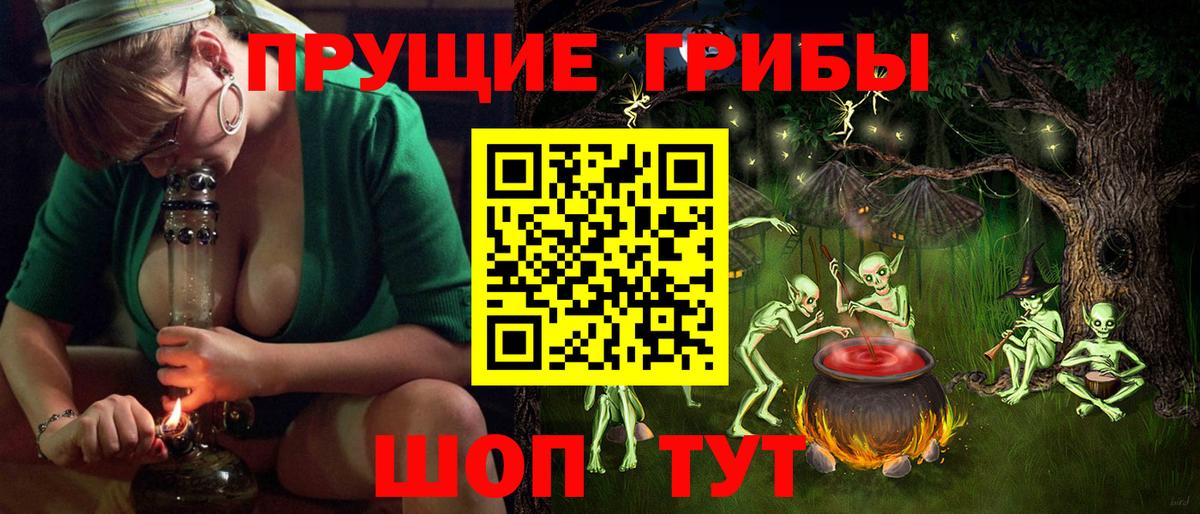 Псилоцибиновые грибы Psilocybine cubensis  Вход с VPN  Евпатория 